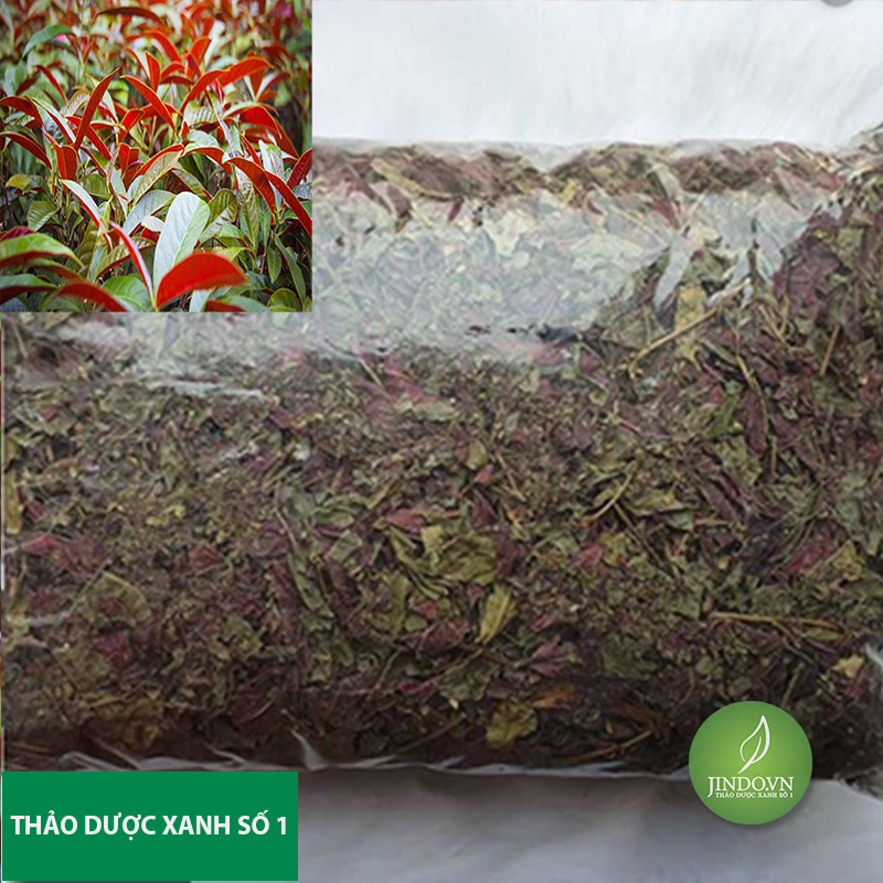 Đơn lá đỏ (1kg khô) - LV150