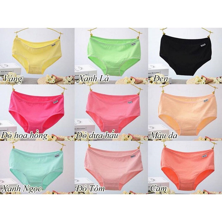 Combo 3 Quần lót cotton Pulo MX