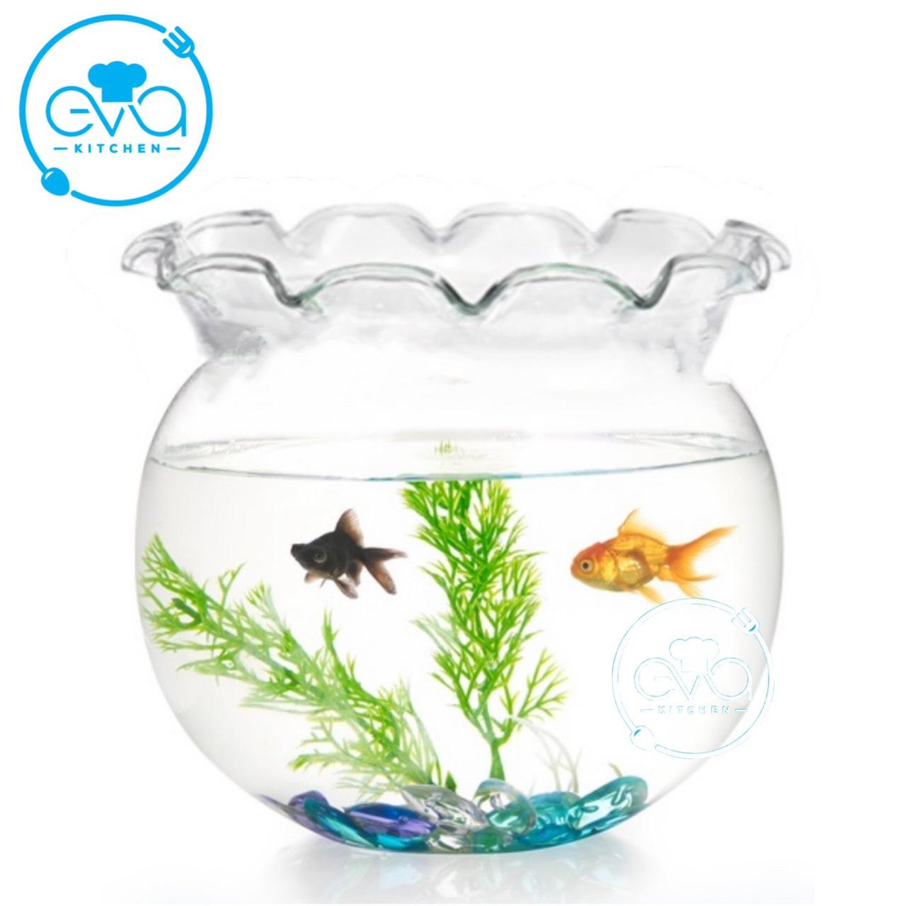 Hồ cá bể cá có miệng bèo thuỷ tinh b11 17 x 16 cm tặng kèm sỏi và rong trang trí