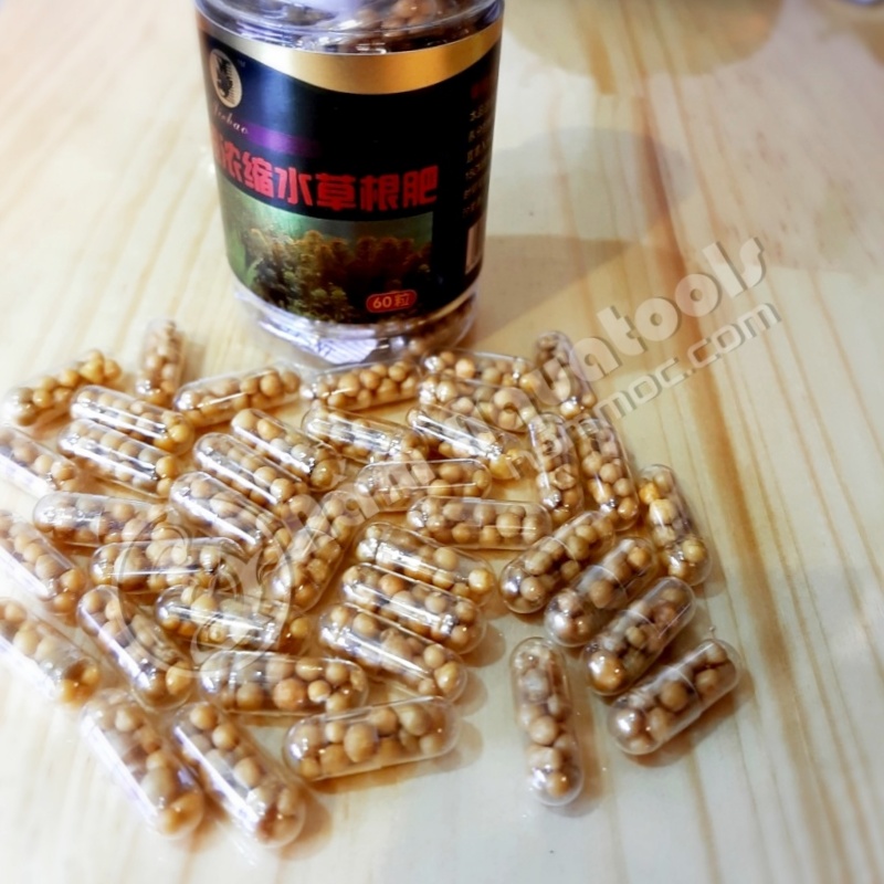 Viên Phân Nhét Gốc | Phân Nhét Nhả Dưỡng Chậm Cho Cây Thuỷ Sinh
