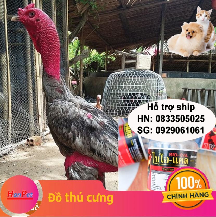 Hanpet - (Thuốc GÀ CHỌI) (Lọ 100 viên) Bổ Xương Gân Gối BIO MADE IN THAILAND dạng viên nhộng UỐNG - Can xi gà đá / chữa mất- HP10426TC