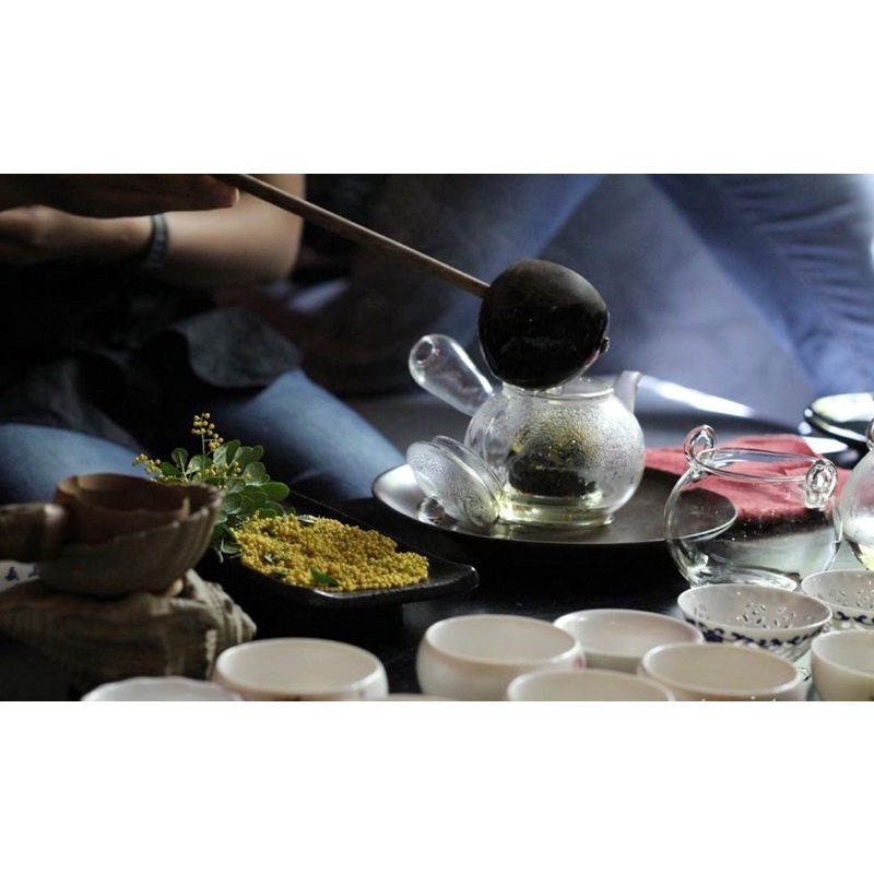 Cây hoa ngâu giống, rễ mạnh