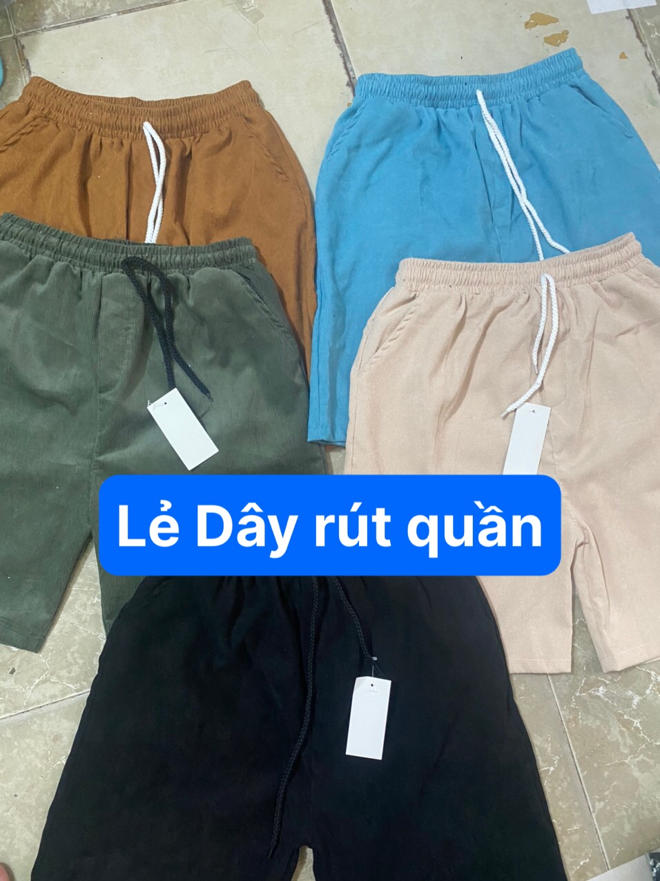 Quần short đùi nữ POLY Trơn nhiều màu Unisex bigsize nam nữ mặc nhà đi chơi du lịch đi biển phong cách cực cool M66