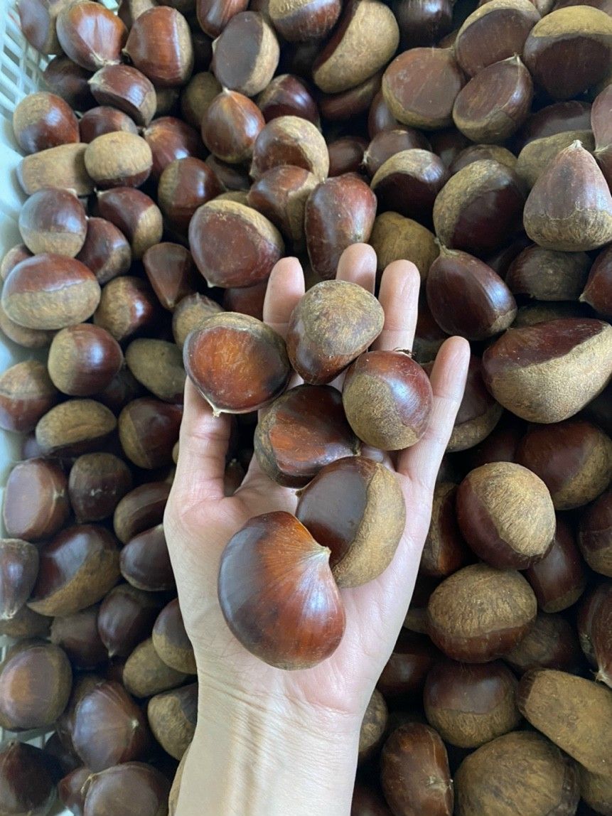 Hạt dẻ Cao Bằng 1kg