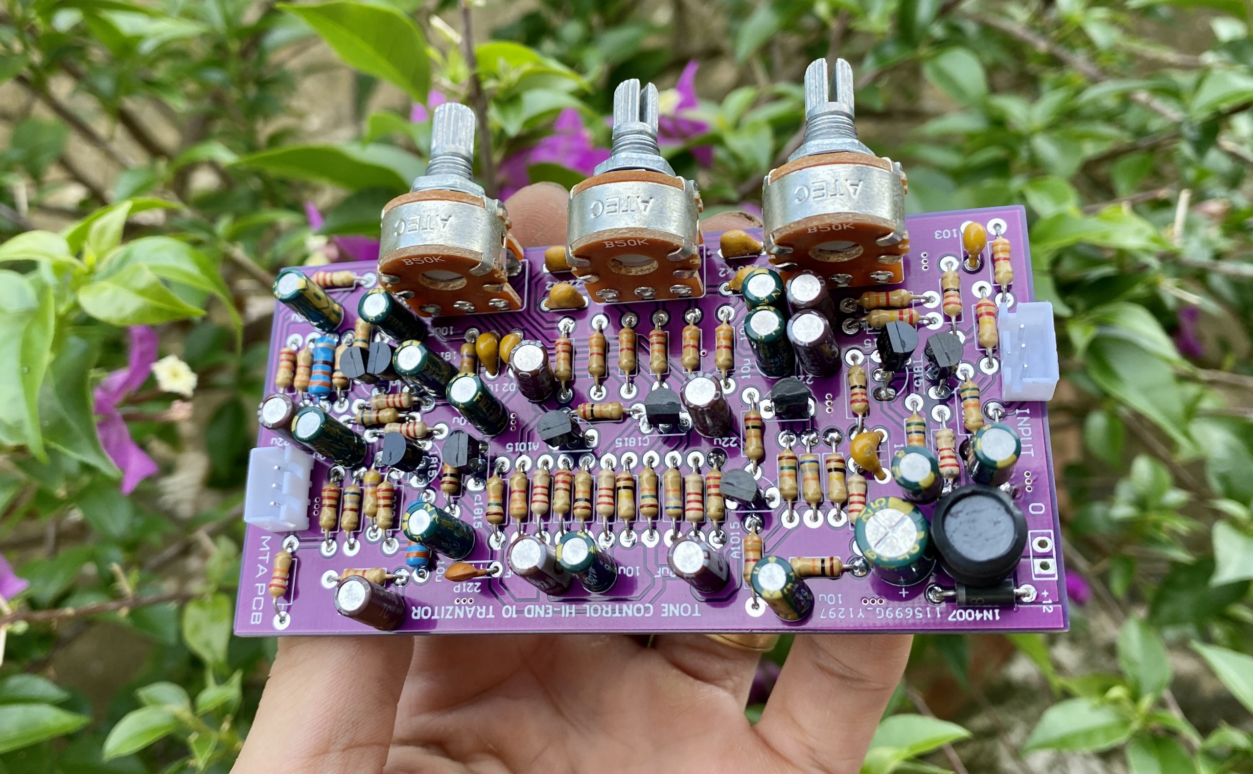 Mạch âm sắc Hi-end 12V 2 kênh