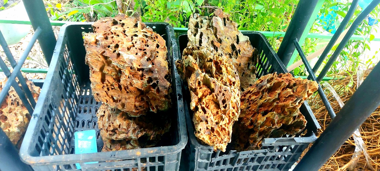 Đá Tiger - Đá Trang Trí Bể Thủy Sinh 1Kg