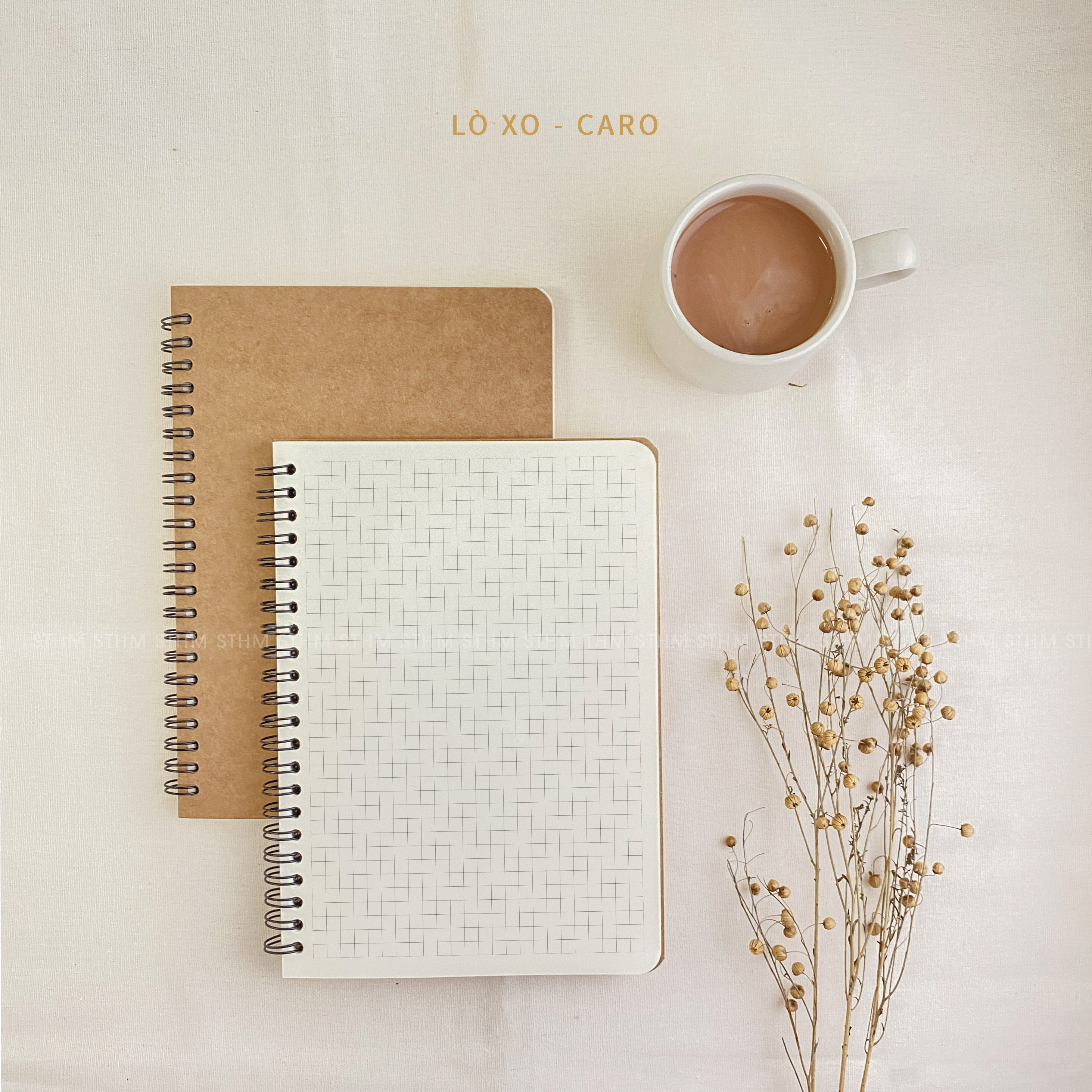 STHM stationery - Basic notebook - 160 trang 80gsm - Bìa kraft Âu