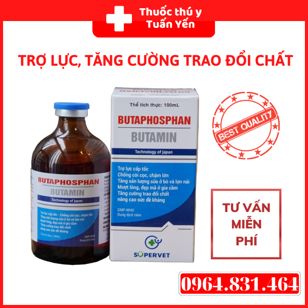 Butaphosphan SUPERVET trợ sức, trợ lực cấp tốc cho heo, lợn, trâu, bò, dê, gà, vịt