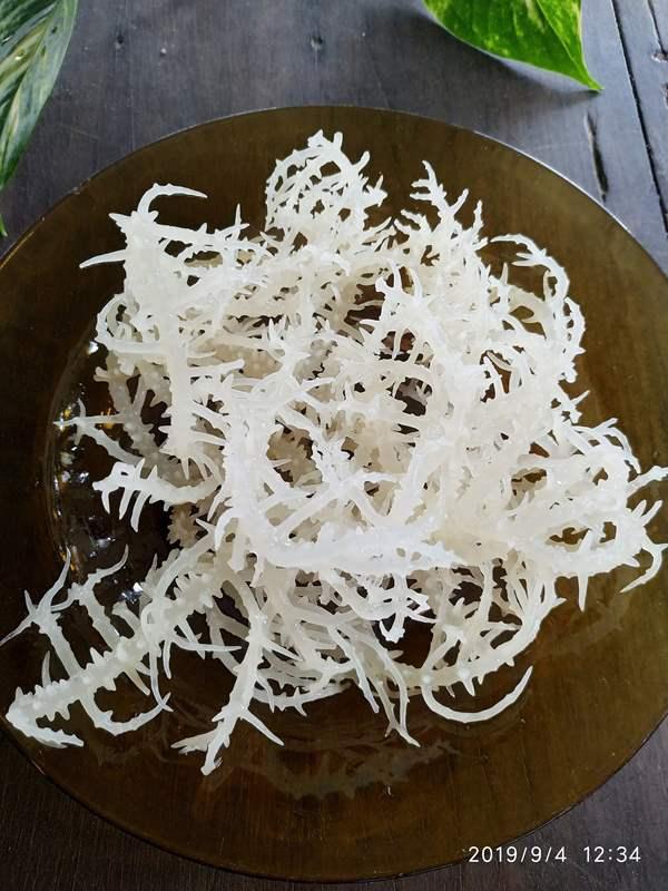 Rong Sụn - Rong Biển Trắng - 1kg
