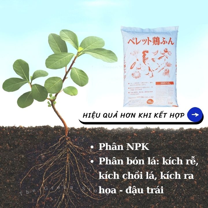 500G/1KG Phân gà hữu cơ Nhật dạng viên 3.5-2-2 (bán lẻ từ bao 15kg) cho phong lan, hoa hồng, mai vàng, cây cảnh, rau sạch và cây ăn quả