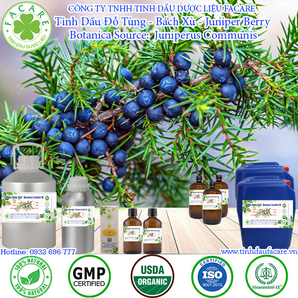 Tinh Dầu Đỗ Tùng (Bách Xù) - Juniper Berry essential oil - 10ml