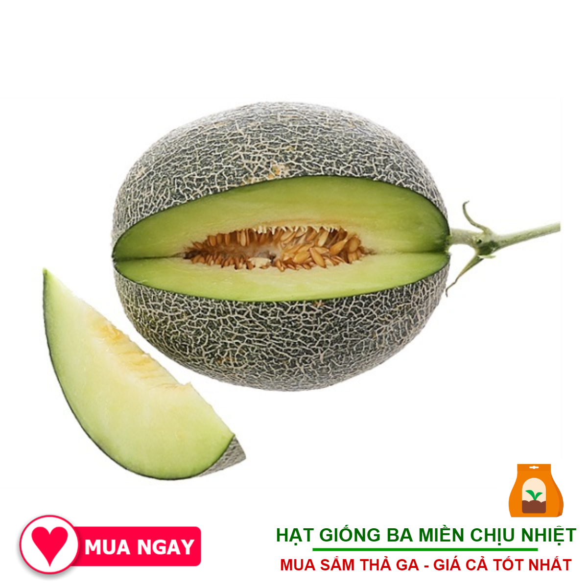 Hạt giống dưa lưới ruột xanh 10 hạt