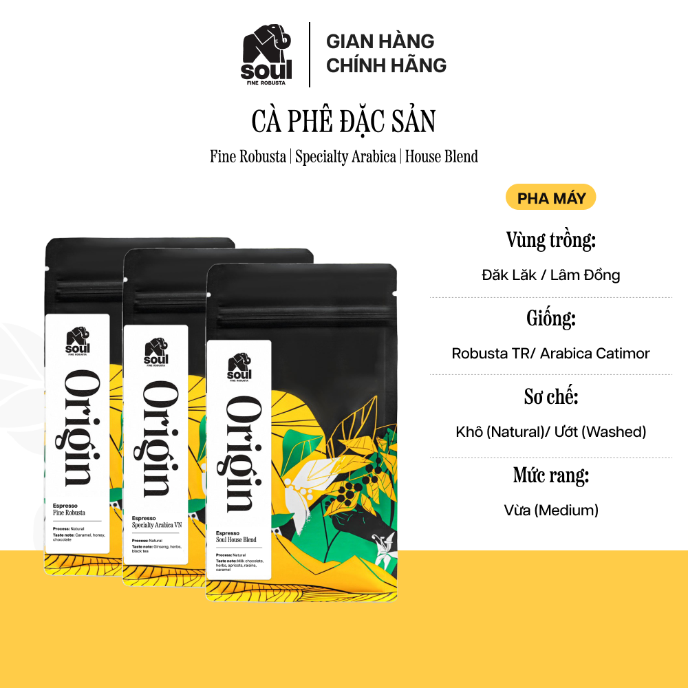 SOUL SPECIALTY COFFEE | Dòng cà phê đặc sản SPECIALTY ARABICA Đăk Lăk / Lâm Đồng | Arabica Catimor sơ chế ướt (washed) - Robusta TR sơ chế khô (Natural) - House Blend | Cà phê pha máy chất lượng thơm ngon
