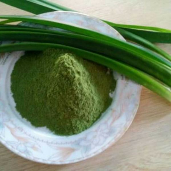 Bột lá dứa bột lá nếp Việt Nam - Pandan Powder