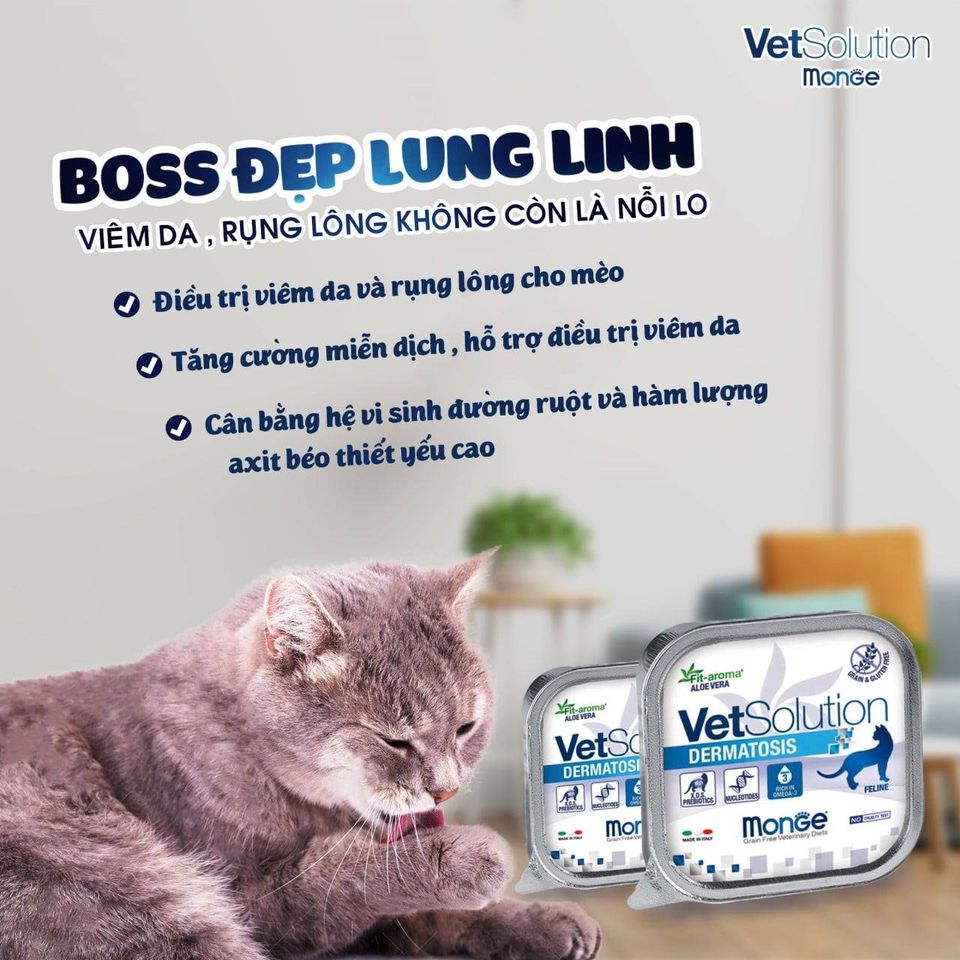 Pate MÈO Monge Vet Solution Chăm Sóc Sức Khỏe 100g