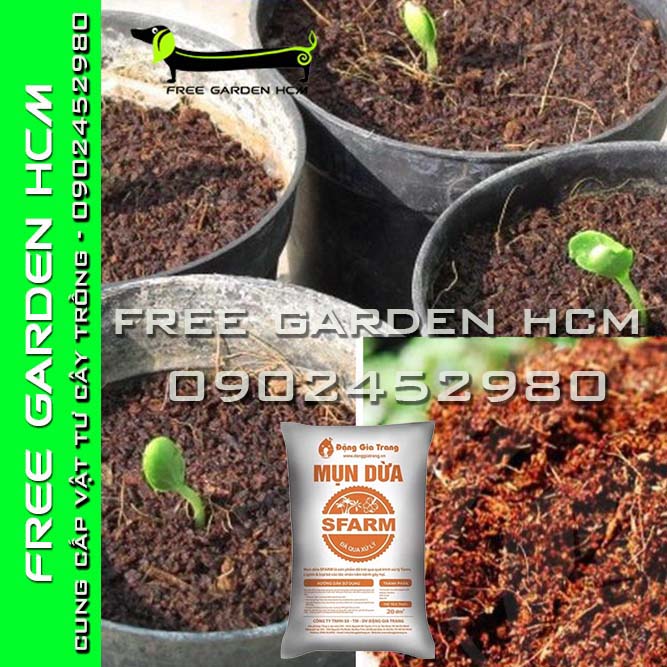 BAO 20dm3 (5,4kg) MỤN DỪA SFARM ĐÃ XỬ LÝ