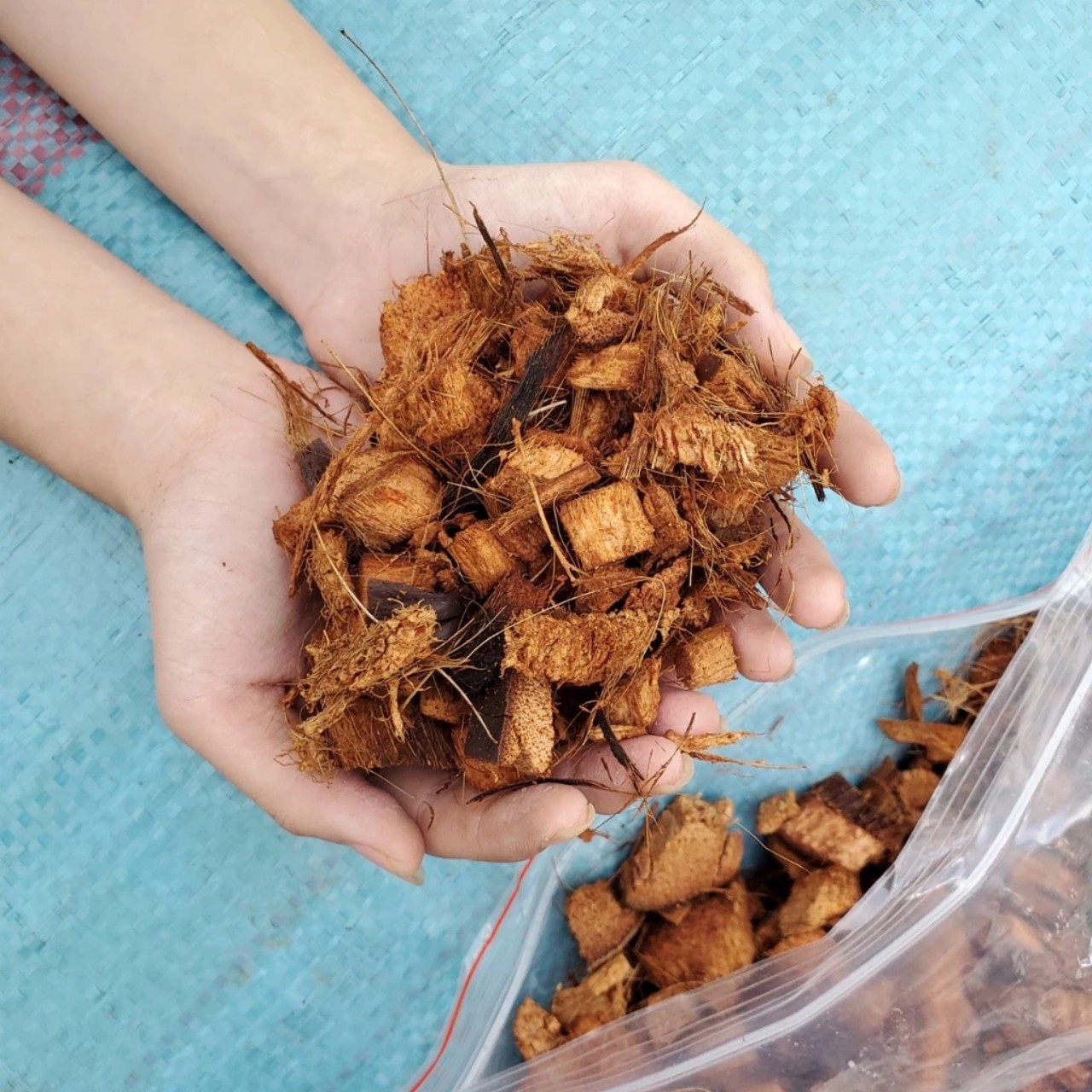 GIÁ THỂ VỎ DỪA KHÔ TRỒNG LAN (200G)