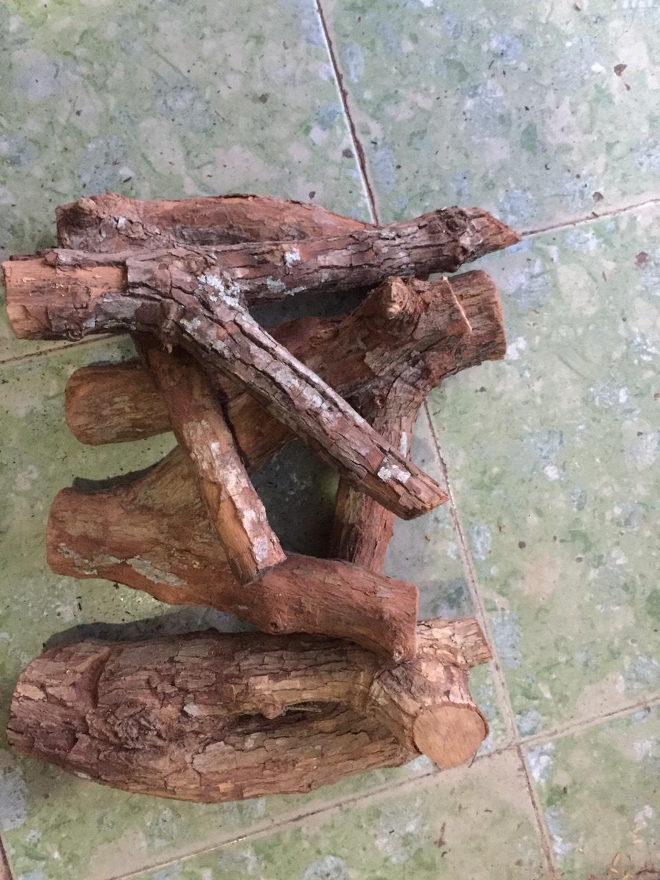 Combo 5 khúc chảng 3 gỗ sữa ghép lan dài 30-35 cm Độ bền của giá thể cao nên trồng lan rất tốt (độ bền từ 3-4 năm).  Thân gỗ không có chất chát và mặn (làm teo, thun đầu rễ)