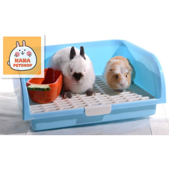 Bunny litter box 🐹freeship🐹 hygene bunny , guinea pig litter box