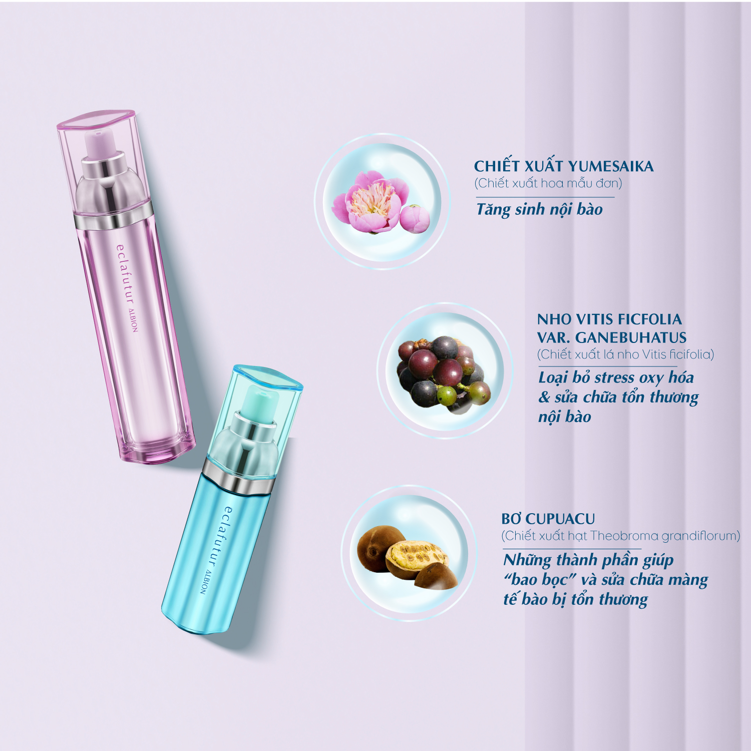 Tinh chất phục hồi sửa chữa tế bào da ALBION ECLAFUTUR t 60ml