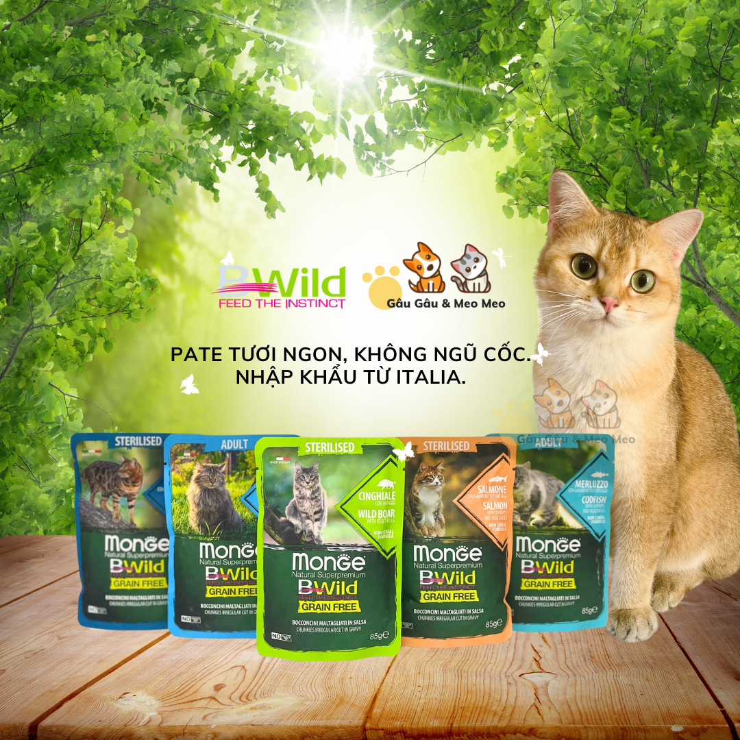 PATE MONGE(Grain free) THỨC ĂN CAO CẤP MÈO Gói 85g