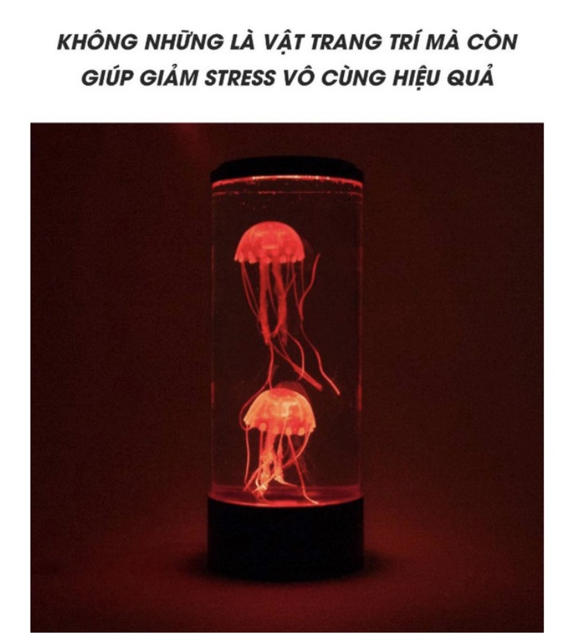 Euro Quality ĐÈN LED 3D ĐỂ BÀN OCEAN