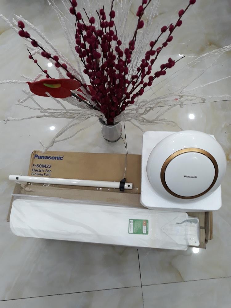 [HCM]Quạt trần Panasonic F60MZ2