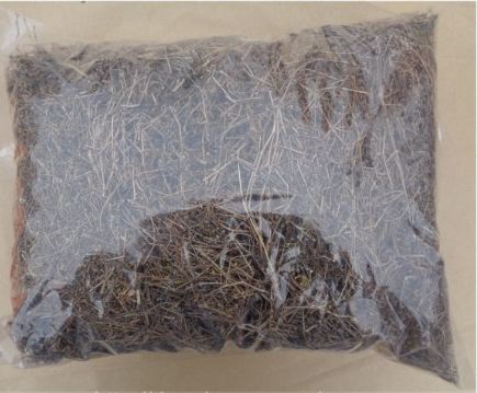 1kg bạch hoa xà thiệt thảo khô hàng loại 1 GT277