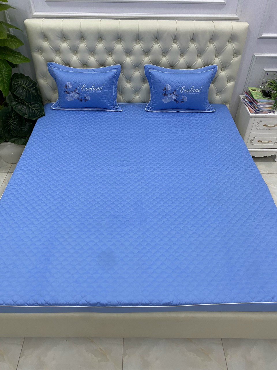 Bộ chăn ga gối chun trần bông 7 món