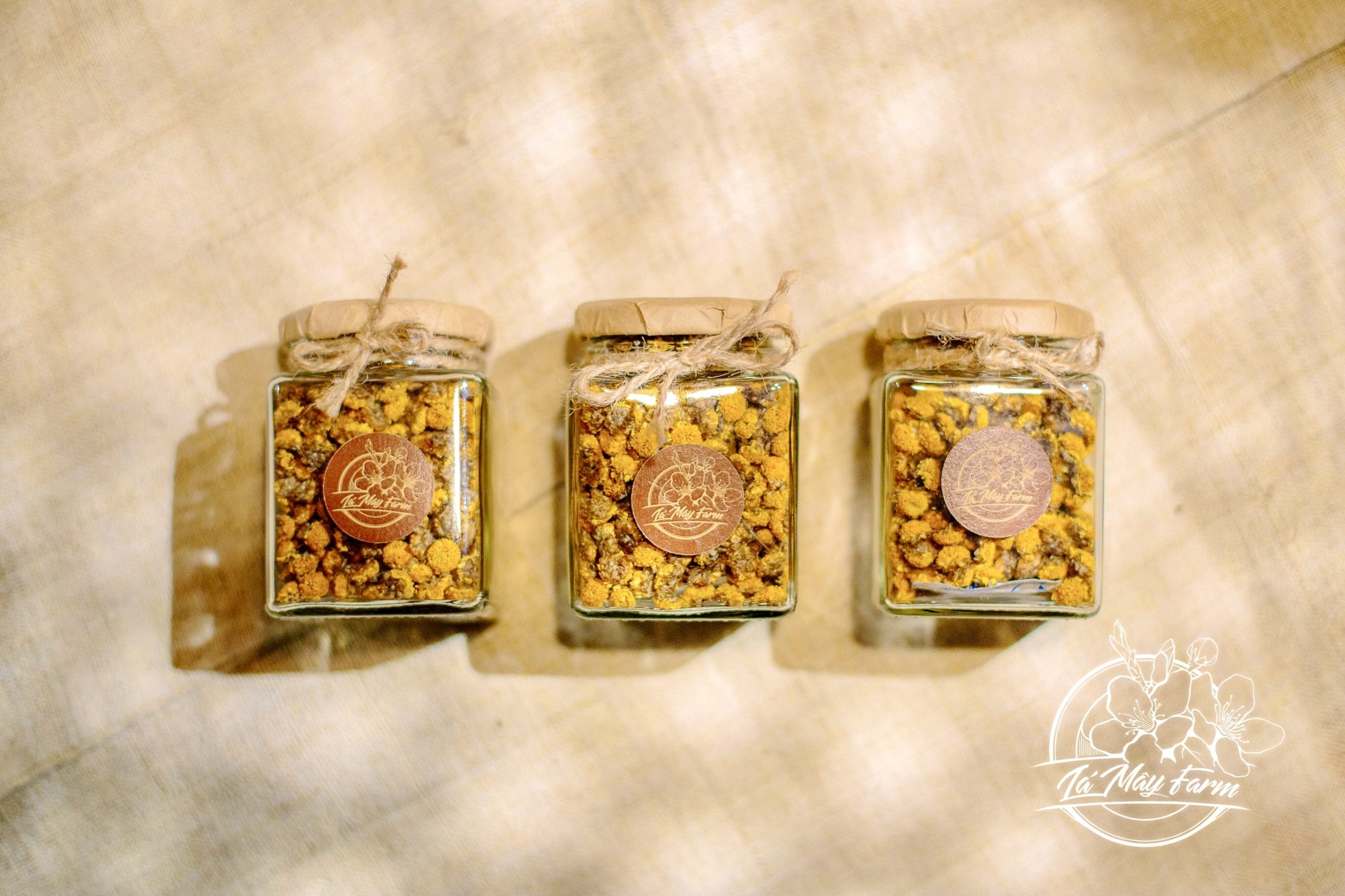Chrysanthemum Tea (flower)
