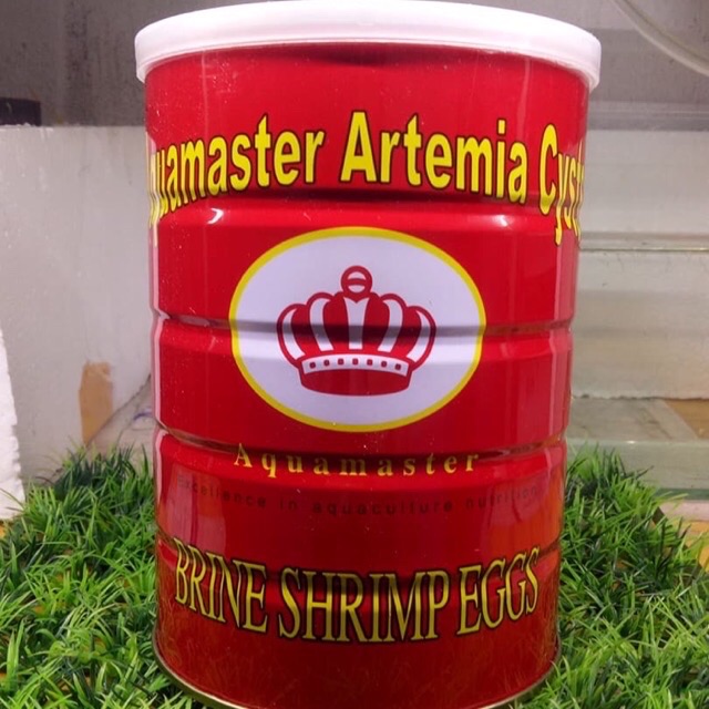 50 gram artermia lon đỏ ấp nở