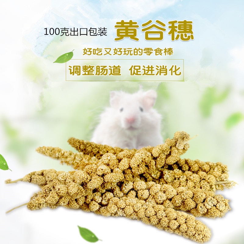 Kê chùm/ kê sợi cho hamster