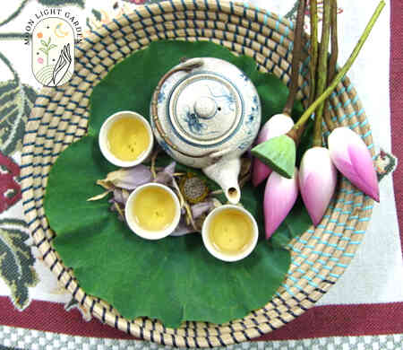 Trà Shan Tuyết Ứớp Sen Bách Diệp