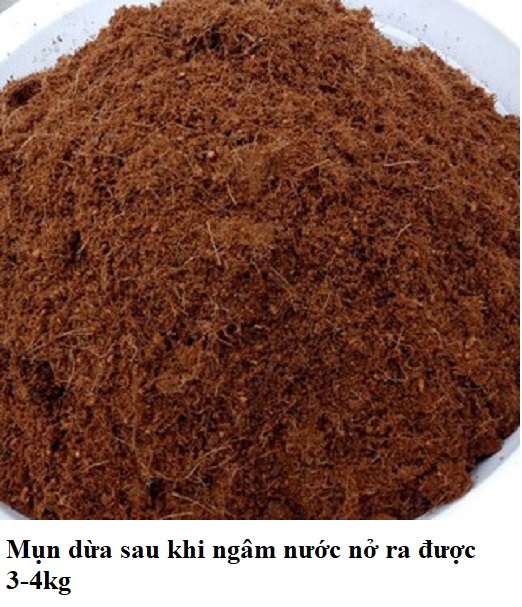 Viên nén mụn xơ dừa bánh lớn, đất nén trồng cây, mụn xơ dừa xử lý an toàn cho cây ươm