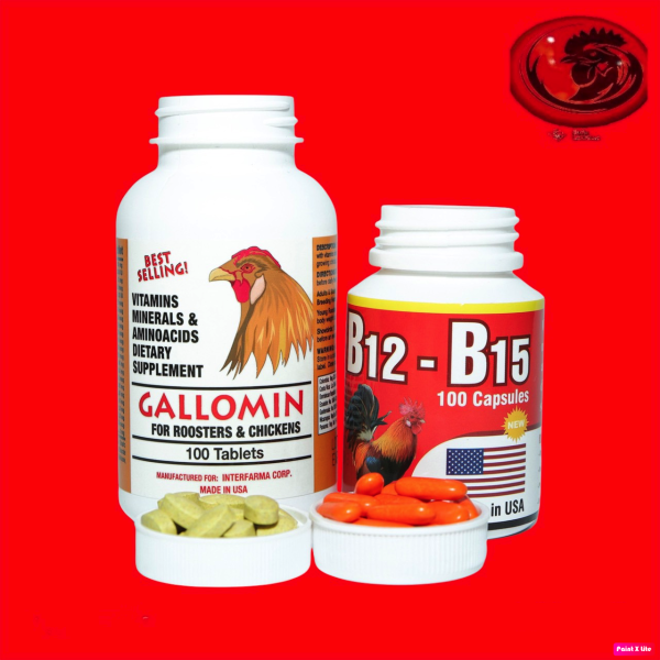COMBO 100 viên GALLOMIN và B15 B12 ĐỎ dinh dưỡng cho gà đá mỗi hộp 100 VIÊN