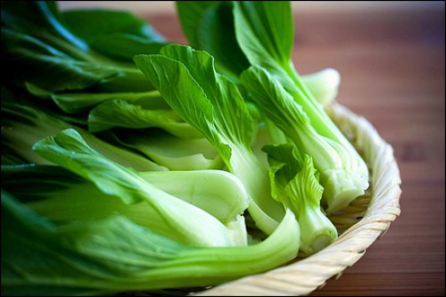 Hạt Giống Rau Cải Chíp (Cải Chít, Cải Thìa) 20g (5000 hạt giống)