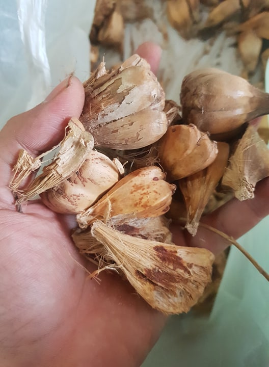 Quả dứa rừng - Quả dứa dại 500g