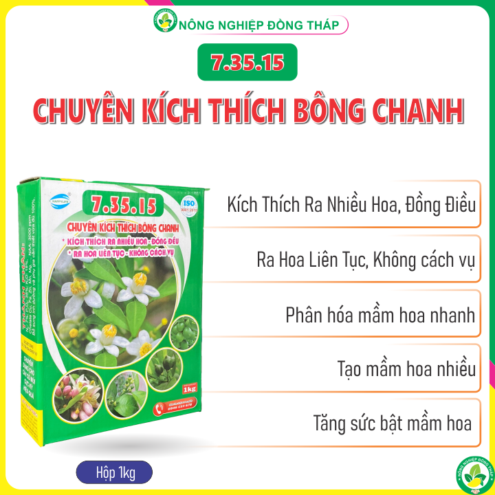Chuyên kích thích bông chanh 7.35.15 – kích thích ra nhiều hoa, đồng đều, ra hoa liên tục, không cách vụ