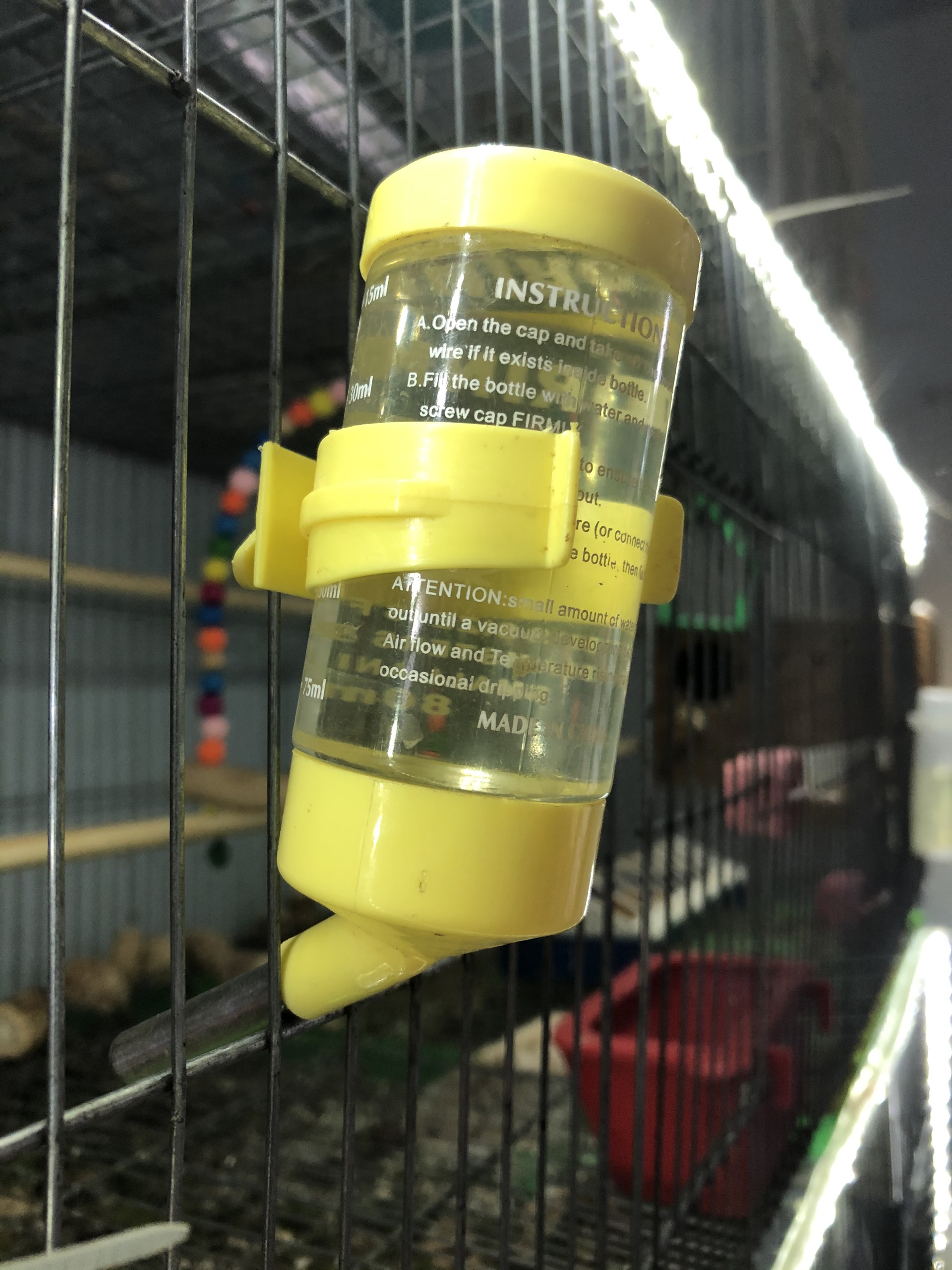 Bình nước bi cho vẹt, hamster