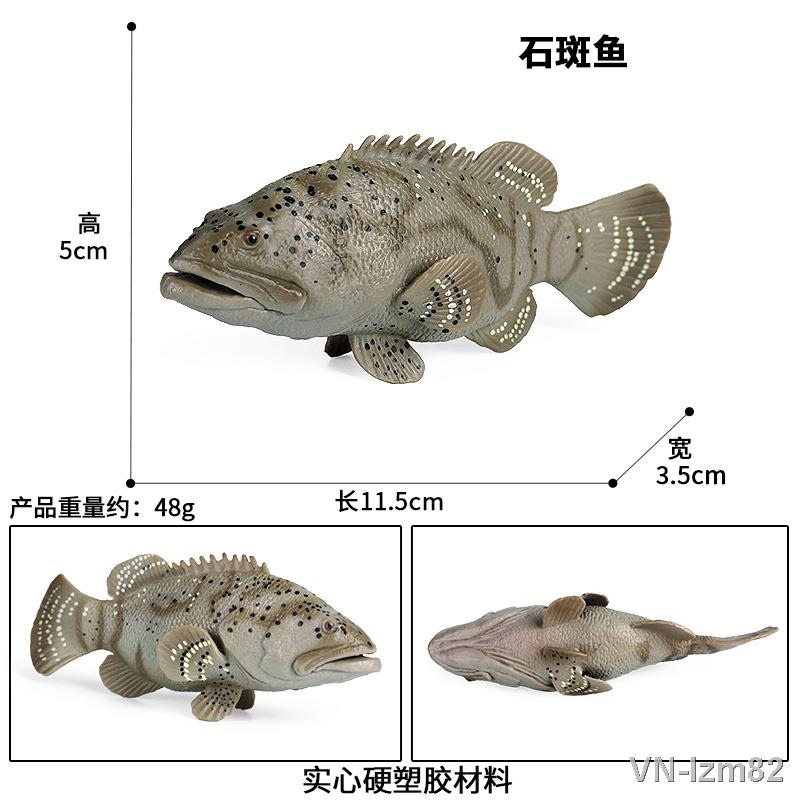 🎁 Đồ chơi mô phỏng quà tặng Trẻ em khoa học và giáo dục nhận thức mô phỏng sinh vật biển hình động trang trí rắn tĩnh cá mú đồ chơi