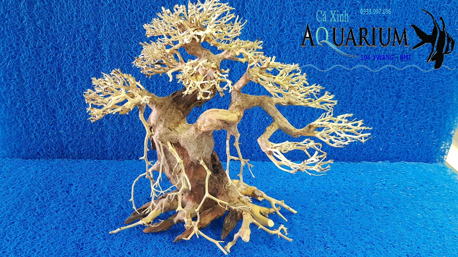 Cây Bonsai cho hồ cá size trung
