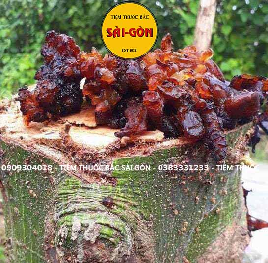 Mủ gòn 100g