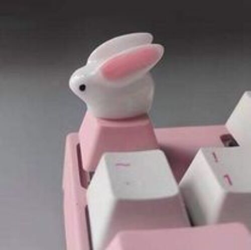 Keycap Thỏ, Gấu miều