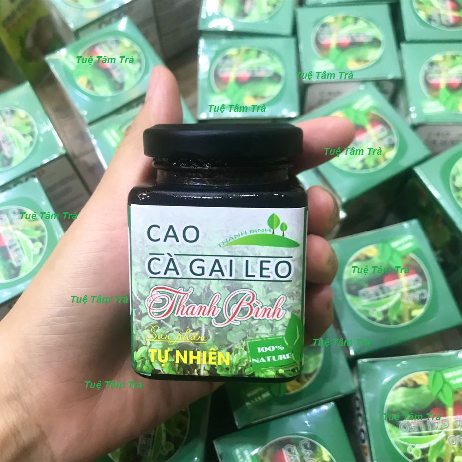 Cao cà gai leo Thanh Bình