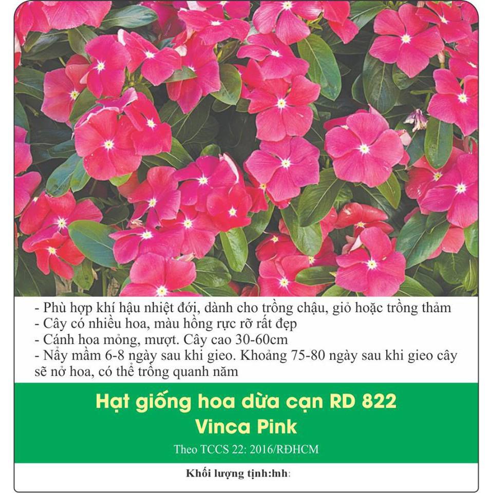 Hạt Giống Hoa Dừa Cạn Hồng