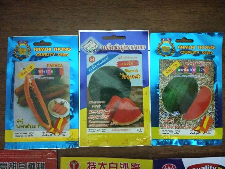 Hạt giống dưa hấu không hạt vỏ sọc Thái Lan - Gói 15 hạt