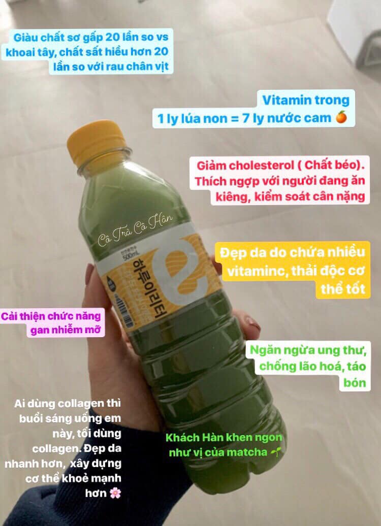 NƯỚC ÉP MẦM LÚA MẠCH NON CAO CẤP G0LDEN HERB