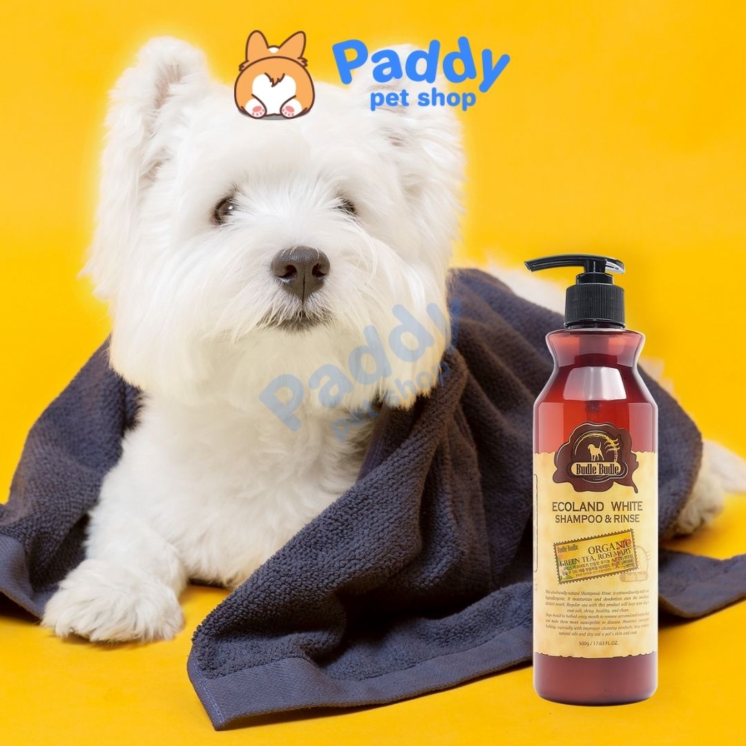 Sữa Tắm Chó Lông Trắng Budle Ecoland White 500g