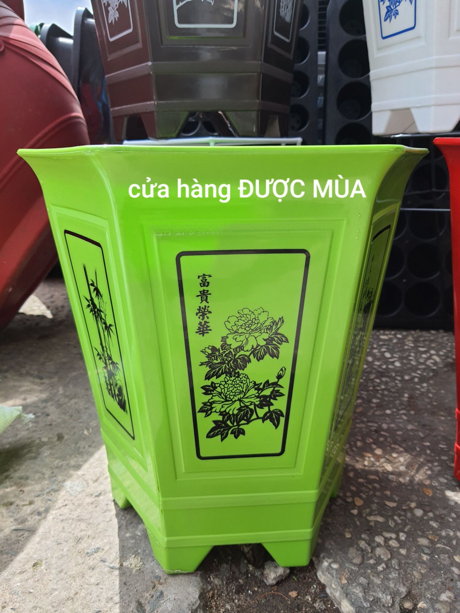 combo 2 chậu lục giác in lụa 35x35cm