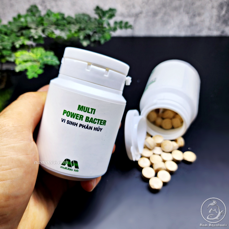 Multibio Lab - Vi Sinh MultiBio | Chế Phẩm Sinh Học Giúp Xử Lý - Làm Trong Nước Nhanh Chóng Cho Bể Cá Cảnh, Thuỷ Sinh